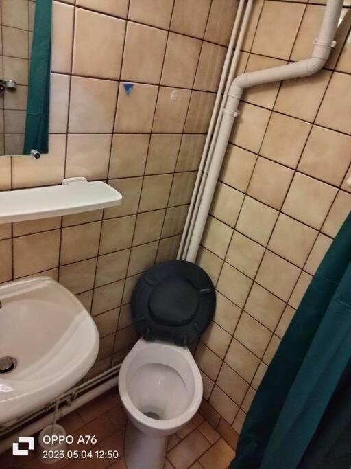 Appartamento Le Nid Douillet Industriel La Bourboule Esterno foto